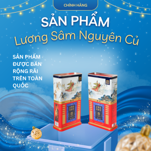 Thiên Sâm Nguyên Củ KGC Heaven Root – Siêu sản phẩm quý hiếm từ KGC cho người cần bồi khí huyết và tăng cường miễn dịch ( 20Ji 150g )