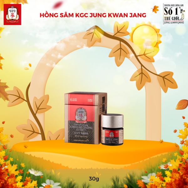 Tinh Chất Hồng Sâm KGC Hàn Quốc Cô Đặc  Chính Hãng – Giảm mệt mỏi, tăng cường sinh lực, giữ vững phong độ ( Hộp 30g ) - Hình ảnh 2