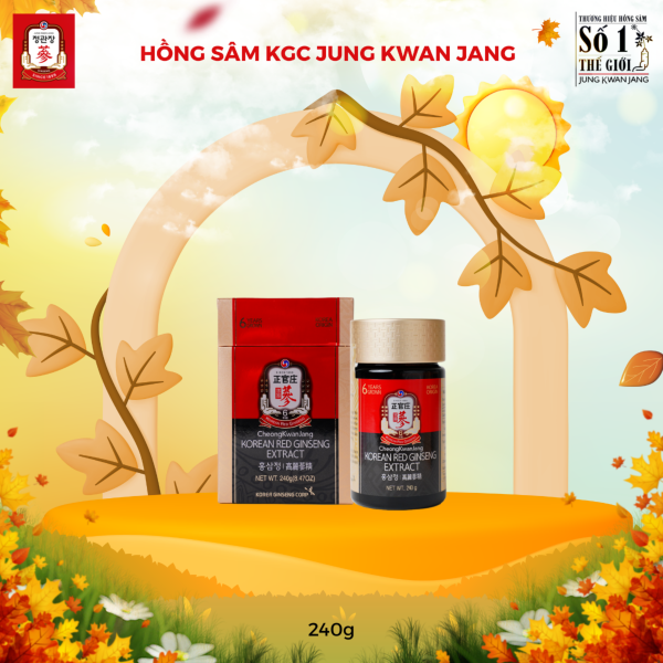 Tinh Chất Hồng Sâm Cô Đặc KGC Global Extract – Thương hiệu quốc dân KGC, bồi bổ toàn diện, nâng sức khỏe từng ngày ( Hộp: 240g ) - Hình ảnh 2