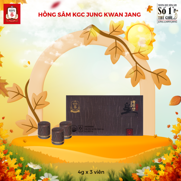 Hồng Sâm Linh Đan KGC Hwang Jin Dan – Tinh hoa KGC giúp phục hồi thể trạng, tăng sức đề kháng vượt trội ( 4g x 3 Viên ) - Hình ảnh 2