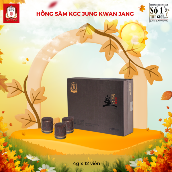 Hồng Sâm Linh Đan KGC Hwang Jin Dan – Viên linh đan quý giá giúp bổ khí, dưỡng huyết, nâng cao miễn dịch ( 4g x 12 Viên ) - Hình ảnh 3