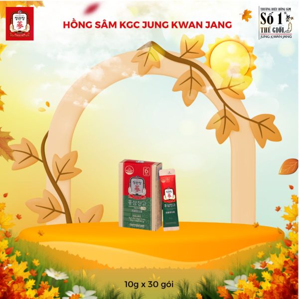 Tinh Chất Hồng Sâm và Mật Ong KGC – Cheong Kwan Jang – Vị ngọt dịu dễ uống, tốt cho người lớn tuổi & người suy nhược ( 10g x 30 Gói ) - Hình ảnh 3