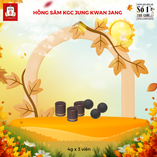 Hồng Sâm Linh Đan KGC Hwang Jin Dan – Tinh hoa KGC giúp phục hồi thể trạng, tăng sức đề kháng vượt trội ( 4g x 3 Viên ) - Hình ảnh 4