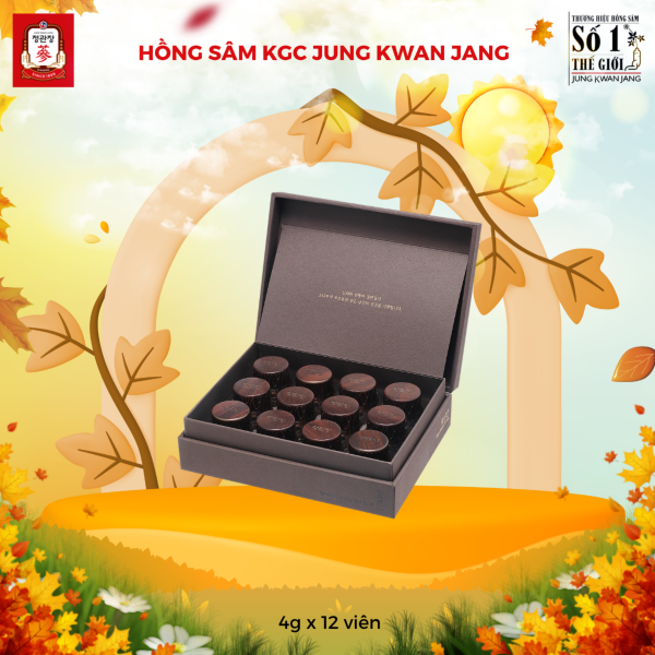 Hồng Sâm Linh Đan KGC Hwang Jin Dan – Viên linh đan quý giá giúp bổ khí, dưỡng huyết, nâng cao miễn dịch ( 4g x 12 Viên ) - Hình ảnh 4