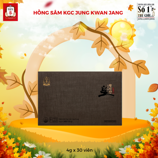 Hồng Sâm Linh Đan KGC Hwang Jin Dan – Giải pháp vàng từ KGC cho người suy nhược, mệt mỏi lâu ngày (  4g x 30 Viên) - Hình ảnh 4