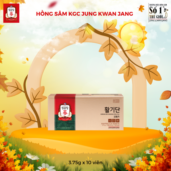 Viên Hồng Sâm KGC Vital Pill – Nhân sâm dạng viên tiện lợi giúp phục hồi sinh lực và bồi bổ sức khỏe mỗi ngày ( 3.75g x 10 Viên ) - Hình ảnh 2