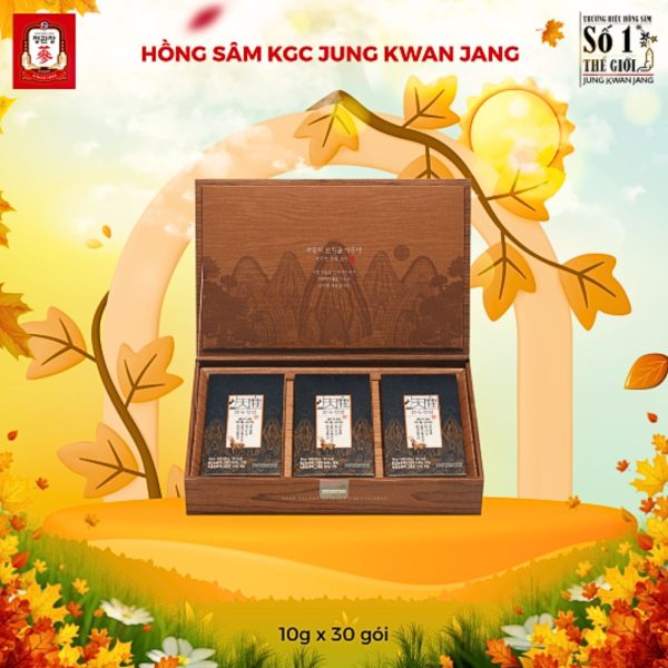 Tinh Chất Hồng Sâm Nhung Hươu KGC Cheon Nok – Tăng cường sức khỏe, bồi bổ sinh lực toàn diện ( 10g x 30 Gói ) - Hình ảnh 4