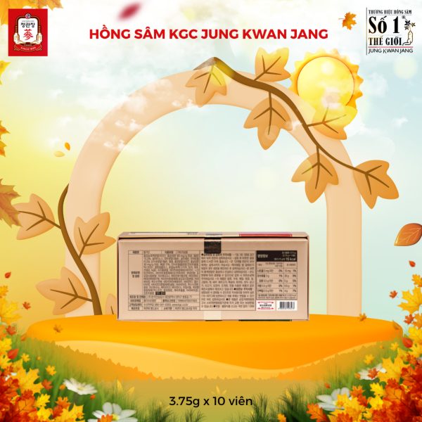 Viên Hồng Sâm KGC Vital Pill – Nhân sâm dạng viên tiện lợi giúp phục hồi sinh lực và bồi bổ sức khỏe mỗi ngày ( 3.75g x 10 Viên ) - Hình ảnh 3