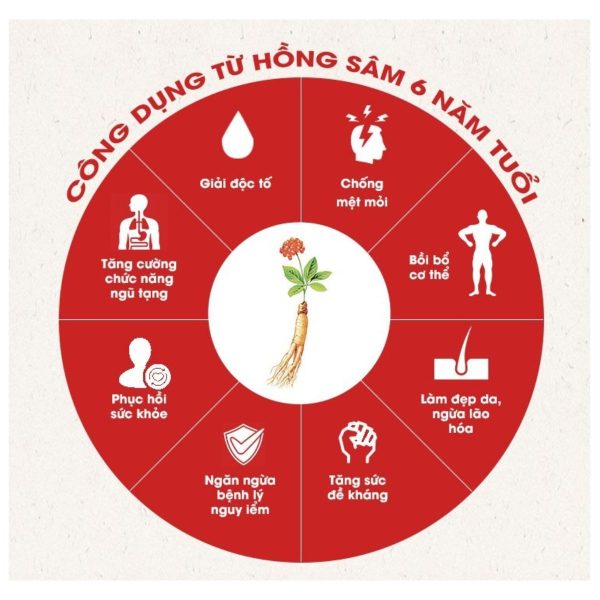 Nước Hồng Sâm Won KGC Jung Kwan Jang Chính Hãng Hàn Quốc - Hình ảnh 3