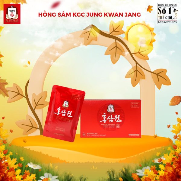 KGC Nước Uống Hồng Sâm Won – Giúp cơ thể tỉnh táo, bồi bổ khí huyết và chống mệt mỏi ( 70ml x 15 ) - Ảnh 4