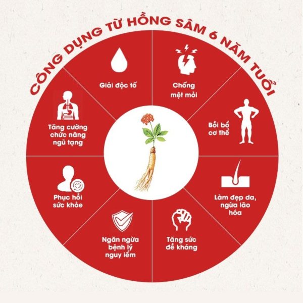 KGC Nước Uống Hồng Sâm Won – Giúp cơ thể tỉnh táo, bồi bổ khí huyết và chống mệt mỏi ( 70ml x 15 ) - Ảnh 6